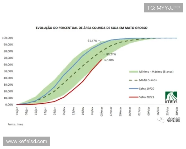 维尼修斯与马丁内利：巴西边锋成长路径分化分析
